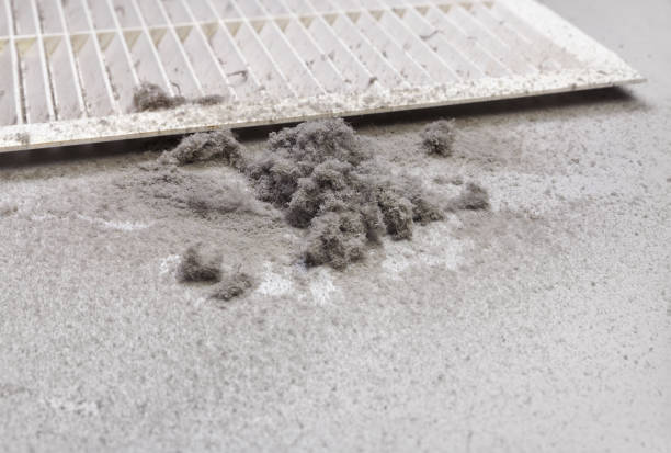 Best Local Air Duct Cleaning Services  in Osceola Mills, PA